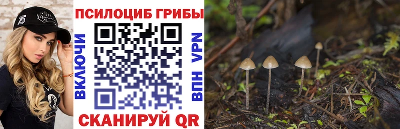 Галлюциногенные грибы MAGIC MUSHROOMS  ОМГ ОМГ вход  Менделеевск 