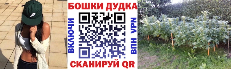 Шишки марихуана AK-47  продажа наркотиков  Менделеевск 